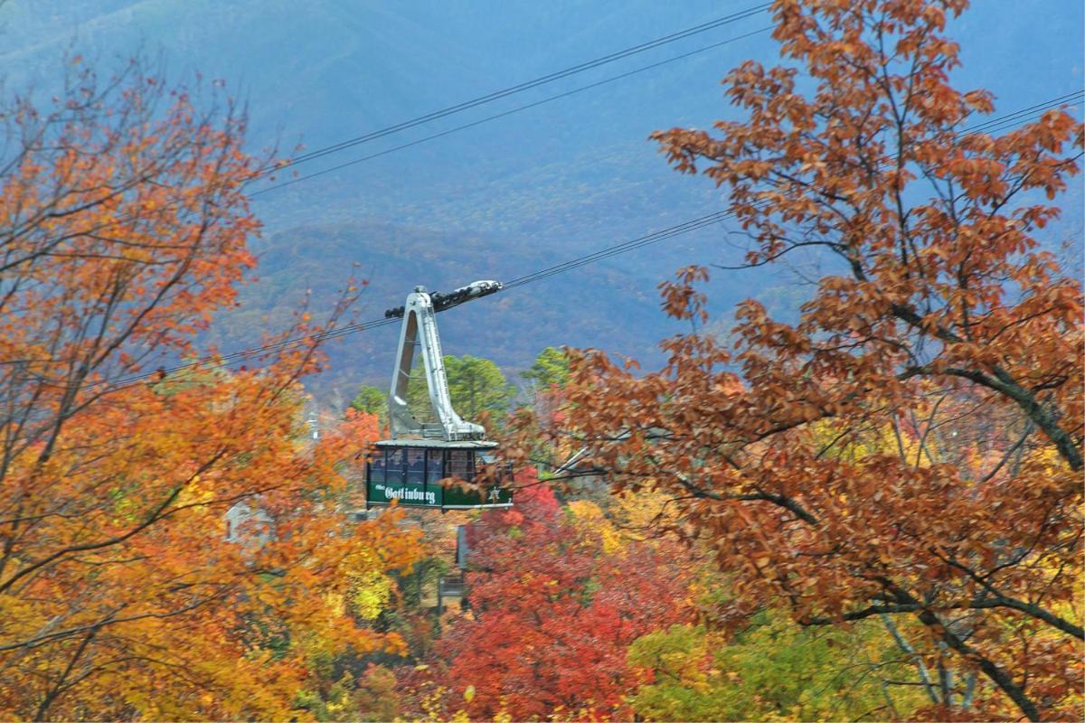 Ridgetop Retreat セバービル エクステリア 写真